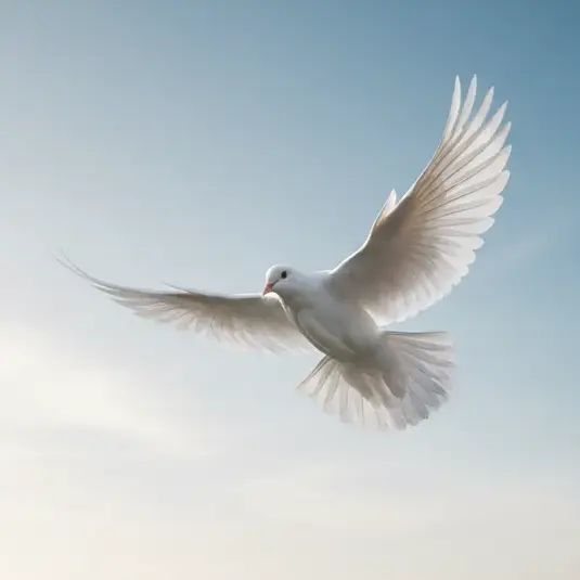 Dove